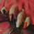 Razan Ahmed