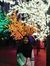 Nur Afiqah