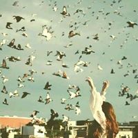 Yoty Sameh
