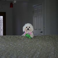 Cynthia Smith-Patrick