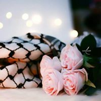 Nøŭr Sŭnjŭq ʚïɞ