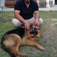 حسن الجابري