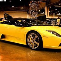 برهومي باوارث