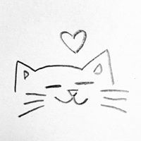 กล้าม แมว