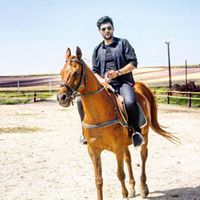 Alaa Ahmed