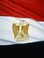 Vini Fathy