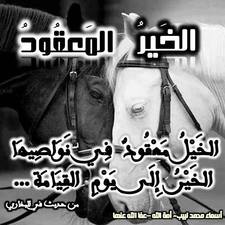 أسماءمحمدلبيب