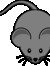 MousieSshi