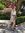 Freya S...
