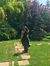 Lama Alameddine