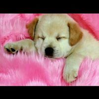 Kavya Vasantha Kumar