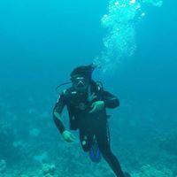 علي الفريدي