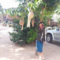 Su Hlaing