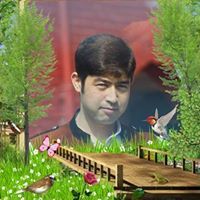 Arif Haidary