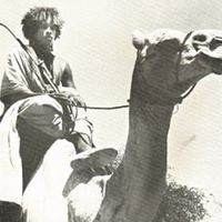 محمد الأمين