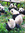 Sina | 1 comments