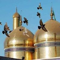 حمامة السلام