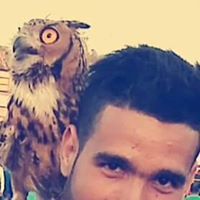 علي العدي