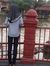 Nurul N...