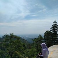 Gini Pringgowati