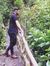 Bryam V...