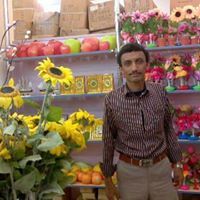 انور انورالنمري