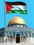 نجمة البحر