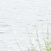 Dinesh Kumar
