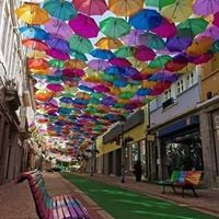 عبدالحافظ كلش