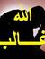 Hany Mo...