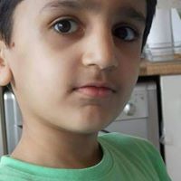 wajid
