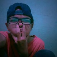 Apis Apis