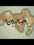 Yasir Amro
