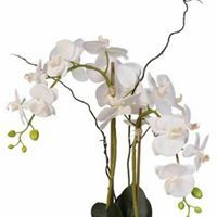 أحمد المساعد