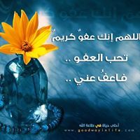 Alaa Marey