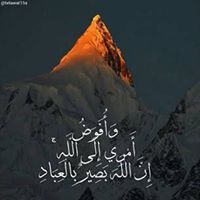 Mahmoud Alsayed