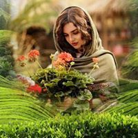 انثہے شرقيہے