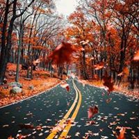 ابو الكوكباني