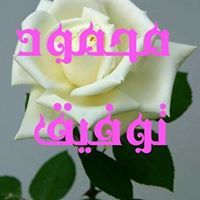 محمود توفيق