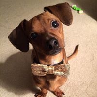 Beverly Jorgensen Stethem