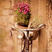 Жанета Добрева