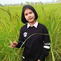 Thanida Mongphet