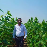 दि.स. वाघमारे