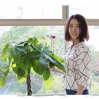 Yanan Shi