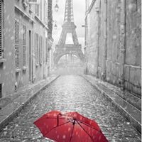 شفا عامر الزين