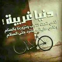 زكريا داود