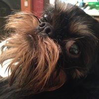 Dannielle Carruthers