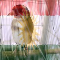 بوکەسورە الحسون