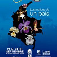 Sebastian Quintero Ruiz