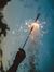 Dalia S...